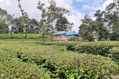 Tea Garden Vagamon, Vagamon