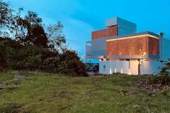 Golden Creeper, Kodaikanal