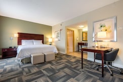 Hampton Inn & Suites Orlando/South Lake Buena Vista, FL, Osceola