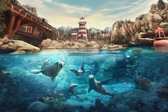 Yas Plaza Mangroves by IHG - Theme Park Access, Abu Dhabi
