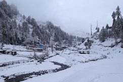 Freebird's Nest | Rooms & Exotic Cafe, Jibhi