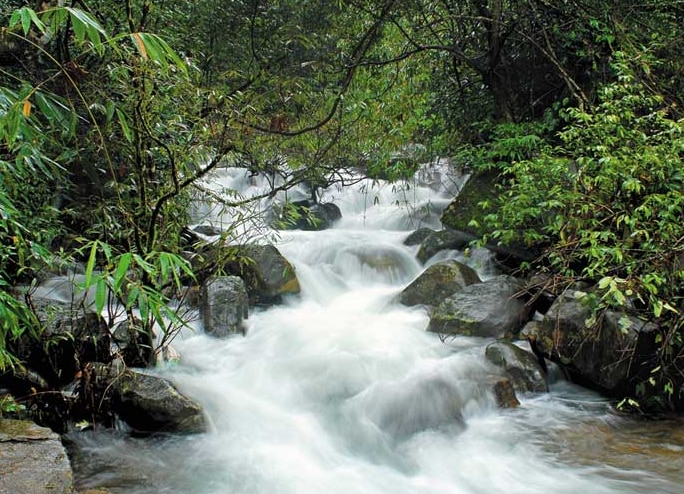 Vythiri Resort Wayanad Resort Price Address Reviews