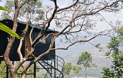 Tree House