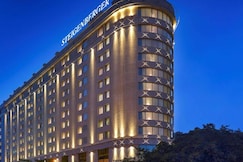 Steigenberger Hotel El Tahrir Cairo, Sheikh Zayed