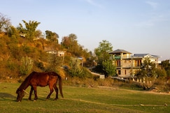 Shepherds Of Dharmshala Villa, Dharamshala