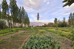Nubra Organic House, Nubra, Nubra Valley