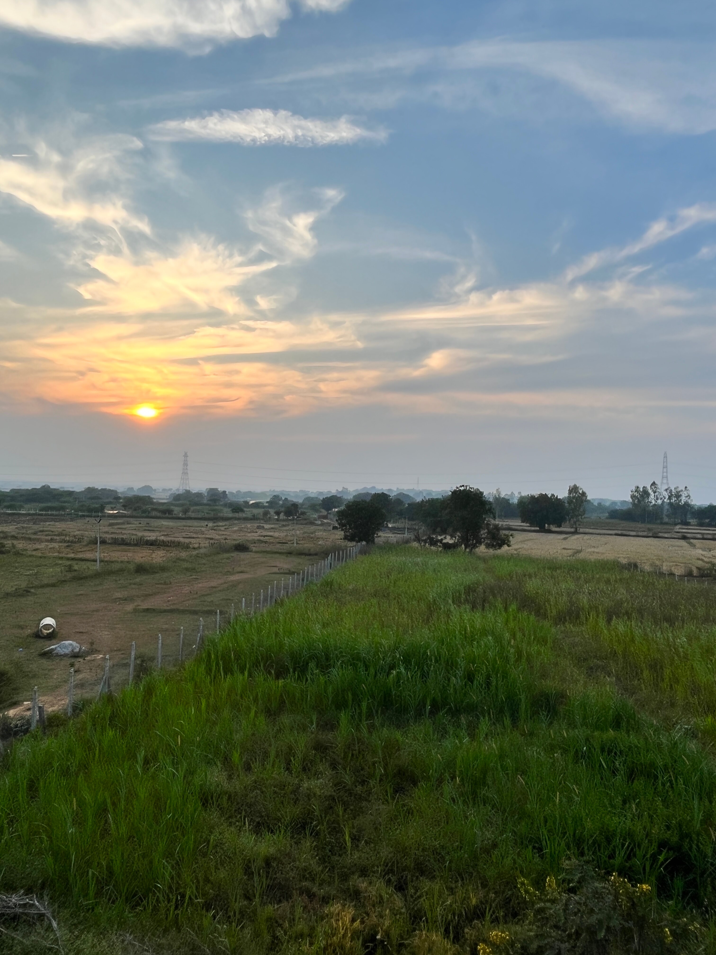CHAUBEY FARMS - Tap to explore photos