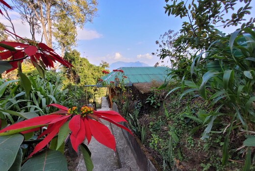 Singi Cottage