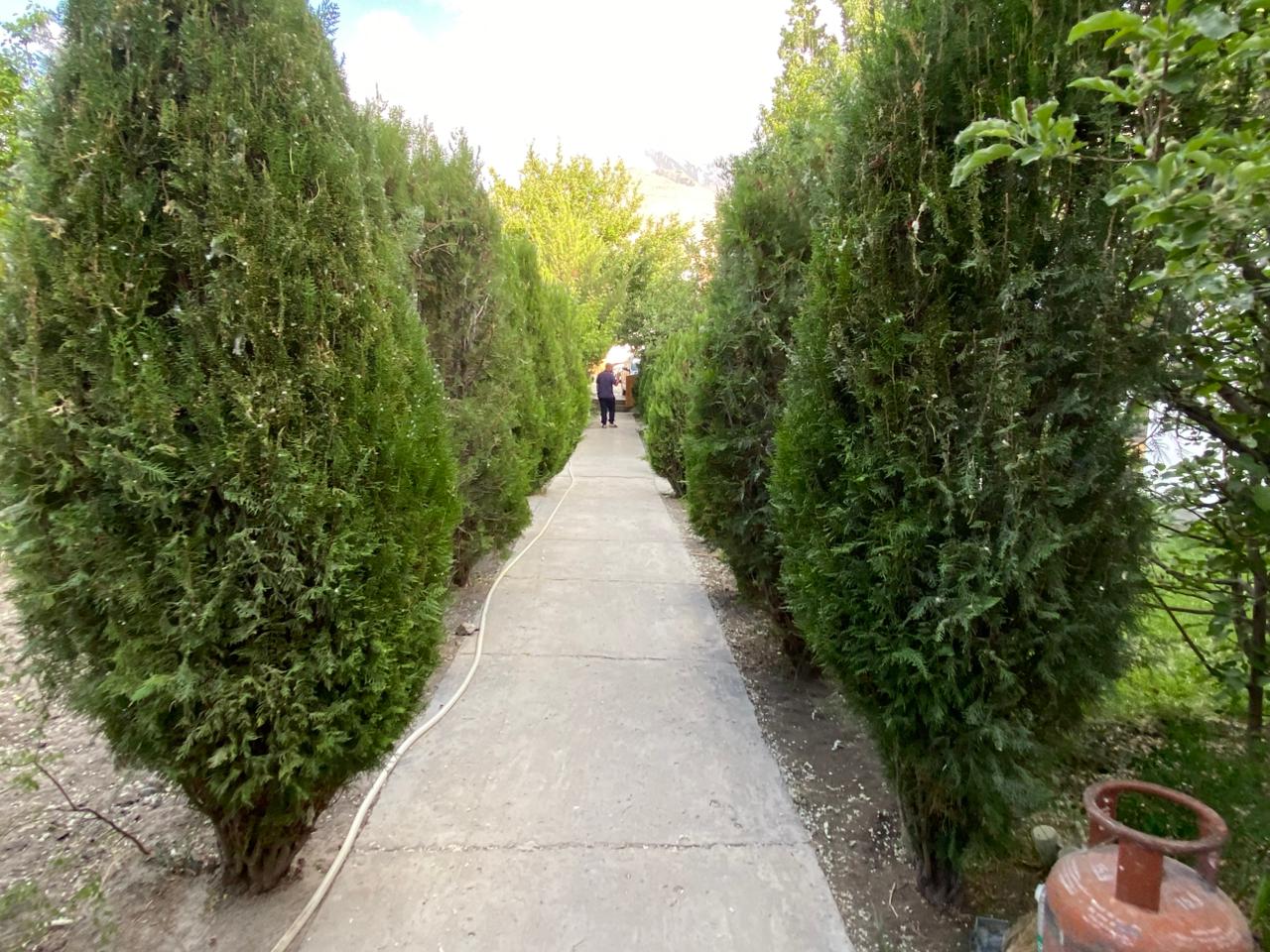 Photo 7