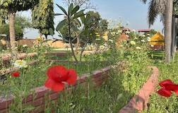 Outdoors