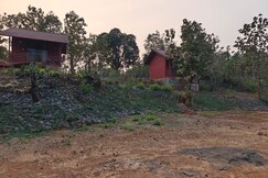 Neel @ Wild flower Farmstay, Koshimbale, Maharashtra, Kolad