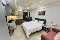 The Sleepy monkey, Jaipur