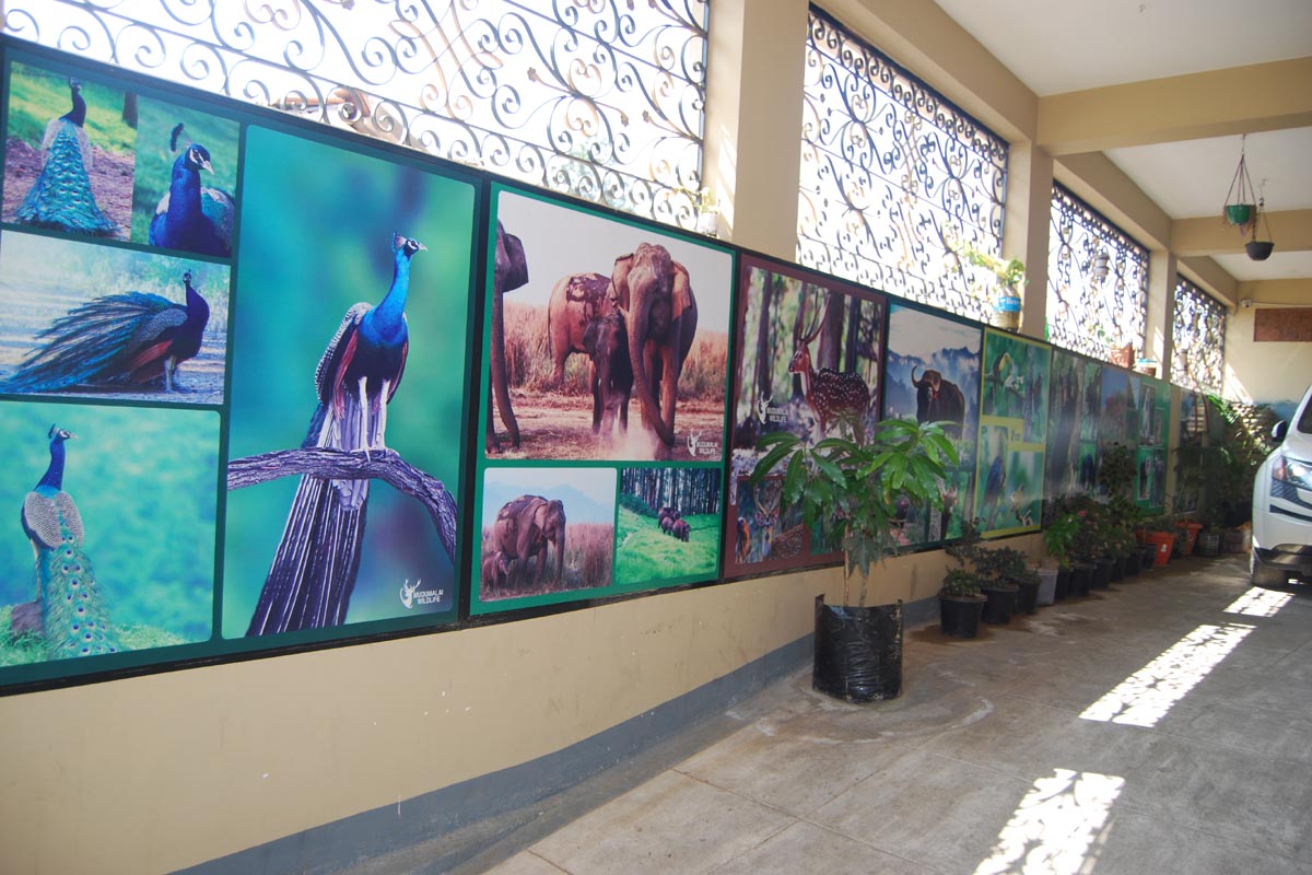 Rubina Home Stay - Tap to explore photos