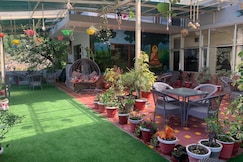 The Panda, Dharamshala