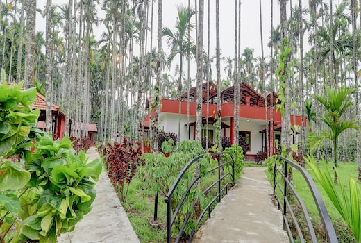 Lazo Areca Resort