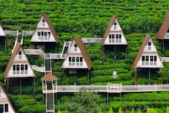 Thottom Stays Vagamon -Luxury A-Frame Glamps, Vagamon