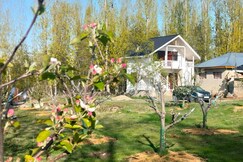 Apple haven, Baramulla