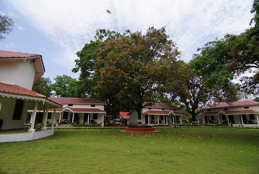 MPT Amaltas, Pachmarhi