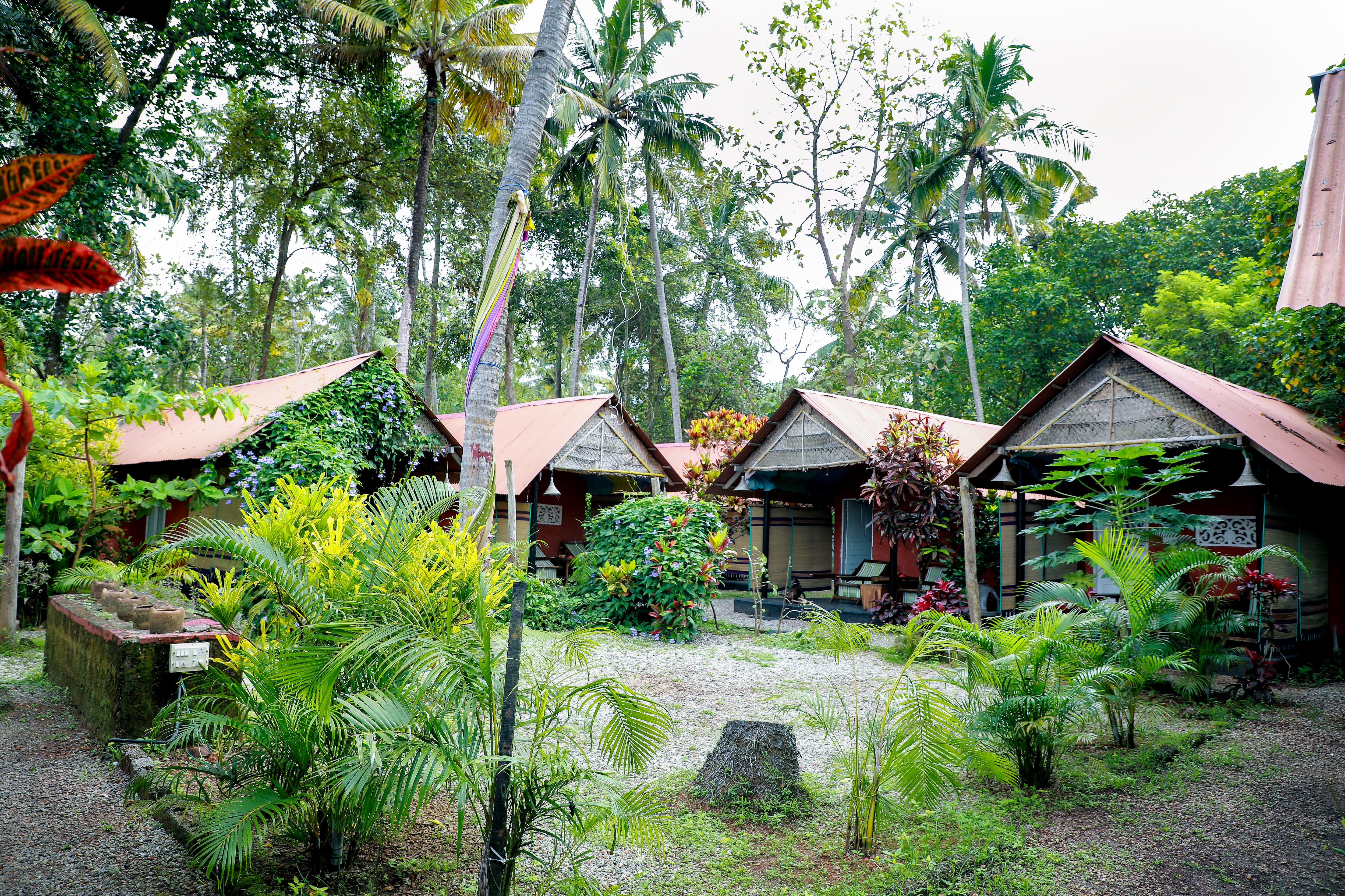 Cliff Cottage Varkala - Tap to explore photos