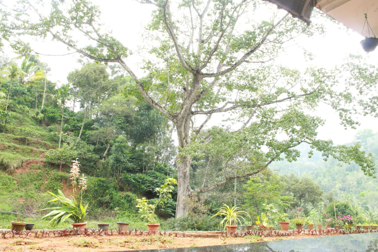 Mountcourt Munnar - Tap to explore photos