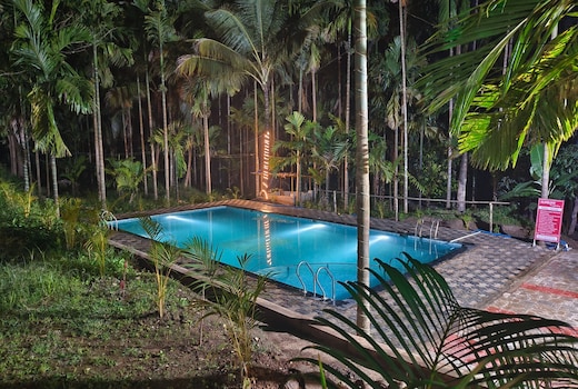 Sun Bird Jungle Stay