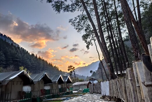 Kasol Riverside Camps & Cottages