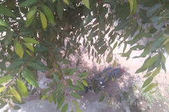 Sri Krishna homestay, Hampi