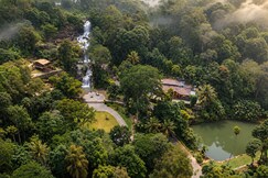Urava Farm Stay, Kuttikkanam