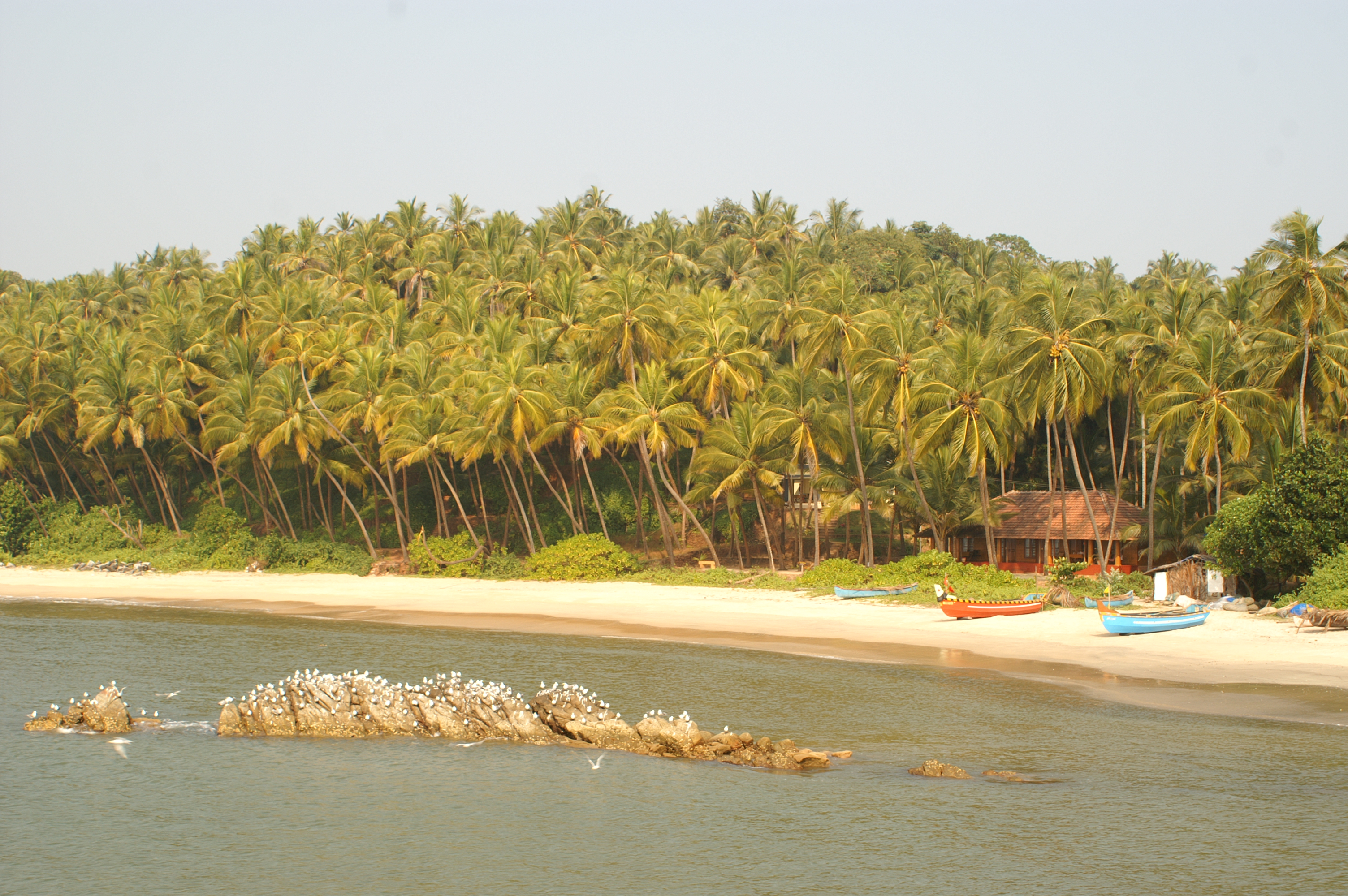 Photos of Chera Rock Beach House,Kannur - Beach Hut in Kannur