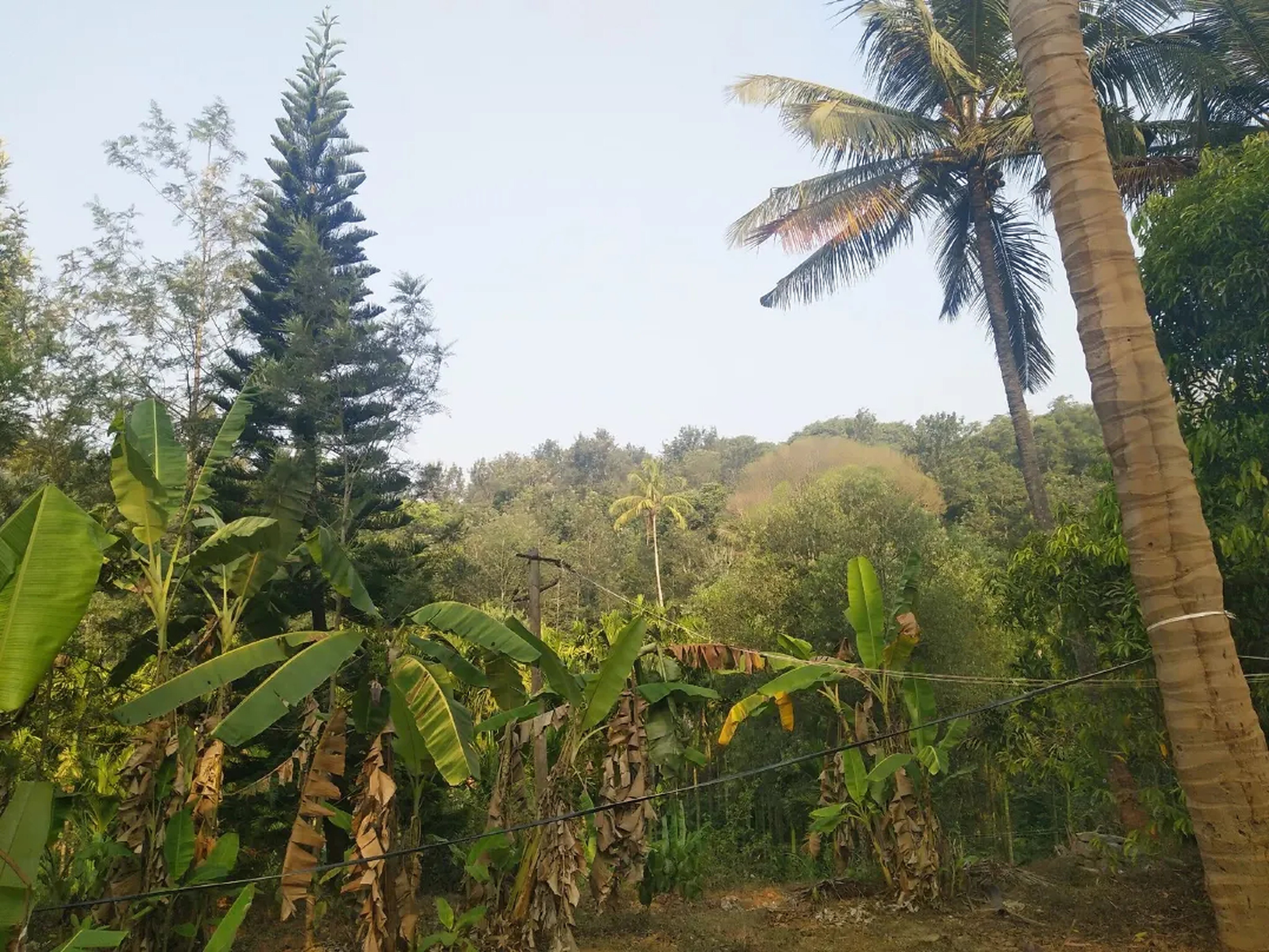 Vinu Homestay Koppa - Tap to explore photos