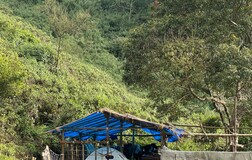 Camping shed