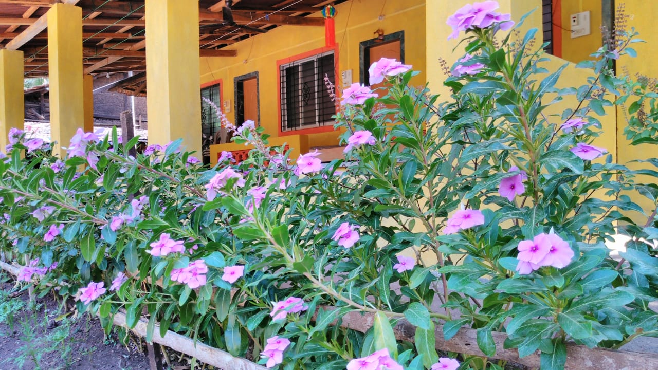 Sai Samarth Niwas Dapoli Hotel Price Address Reviews