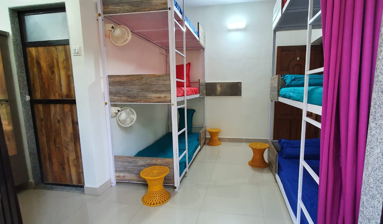 Crazy Coconut - A Backpacker Hostel - Tap to explore photos