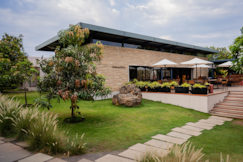 WOODS AT SASAN, Sasan Gir