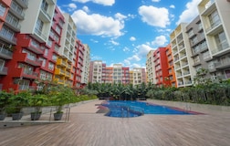 Swimming Pool 1