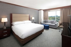 Hilton Minneapolis/Bloomington, Stearns