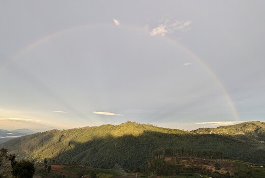 THE VIEW KODAI