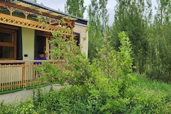 Royal Basgo, Pangong