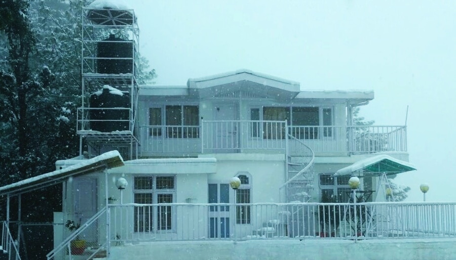 Dolphin Cottages Shimla Shimla Homestay Price Address Reviews
