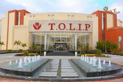 Tolip El Narges, Cairo