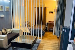 studio near metro Heritage centeral and parks, Delhi