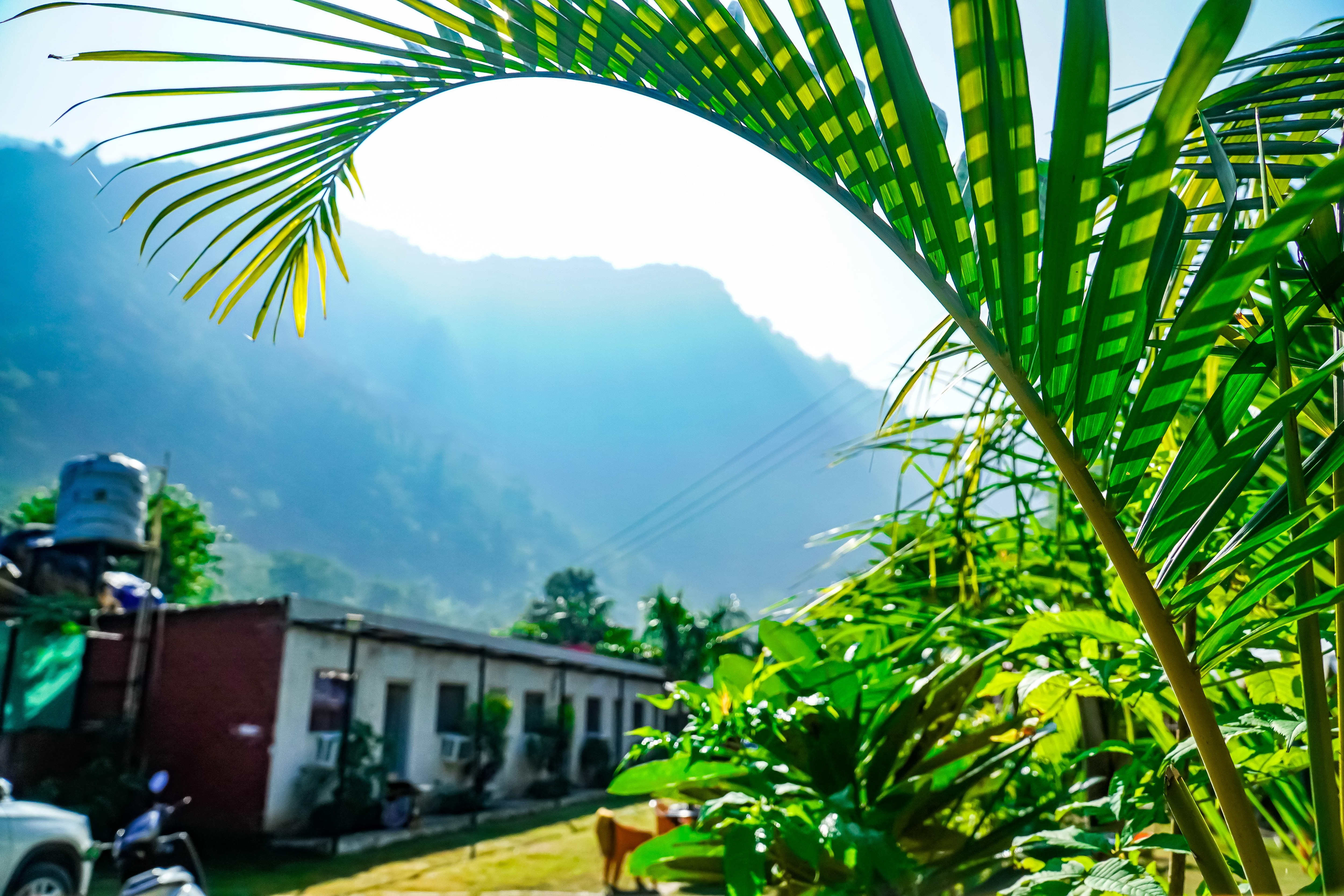 The FnF Resort and Camping - Tap to explore photos