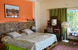 Wild Apricot Cottage