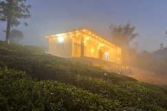 CloudyMistVagamon, Vagamon