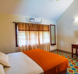 Deluxe  Mini Suite Room