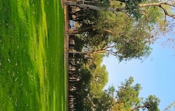 Outdoors