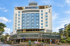 Olive Down Town, Cochin