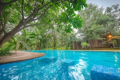 Mahua Vann Pench, Chhindwara