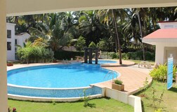 Swimming Pool 1