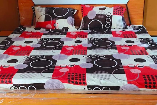 Hotel O Shree Krishna palace